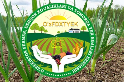 БОҒ-ТОК ҚАТОР ОРАСИГА ТЎҚСОНБОСТИ ЭКИНЛАРИНИ ЭКИБ, ҚЎШИМЧА ДАРОМАДГА ЭГА БЎЛИНГ ҲАМДА КУЗГИ ЭКИЛГАН ҒАЛЛА МАЙДОНЛАРИНИ ЎЗ ВАҚТИДА ПАРВАРИШЛАБ ЮҚОРИ  ҲОСИЛДОРЛИККА ЭРИШИНГ